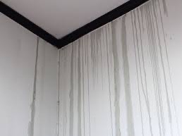 雨漏りのイメージ画像